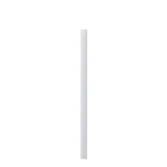 Replacement Straw 20oz Bottle